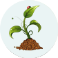 greenleafhyd